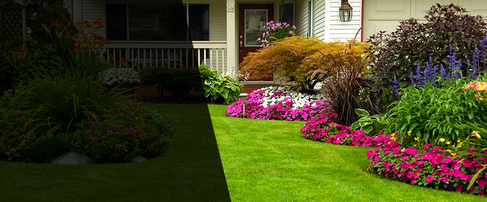 Paola Landscapers