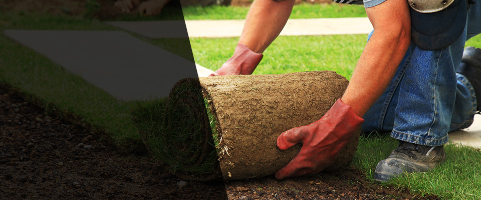Paola Landscapers